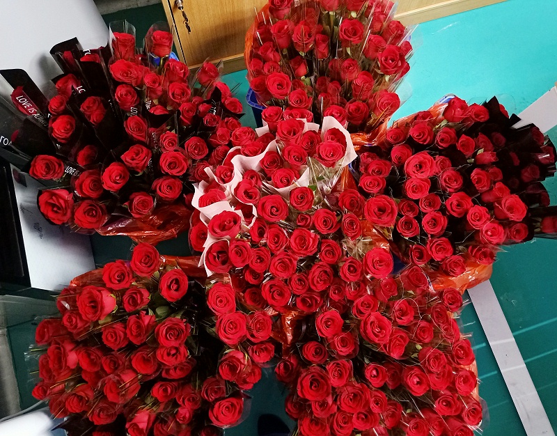 火狐电竞女神节